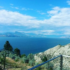 Meet your Posher, Jill